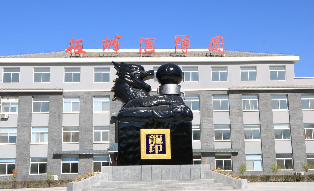 巨型龍印